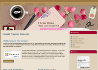 IBSI-US.COM Affordable Custom Web site design Tampa Florida